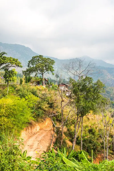 Tayland Phulangka Ulusal Parkı 'nda Dağ Manzaralı Küçük Ev.