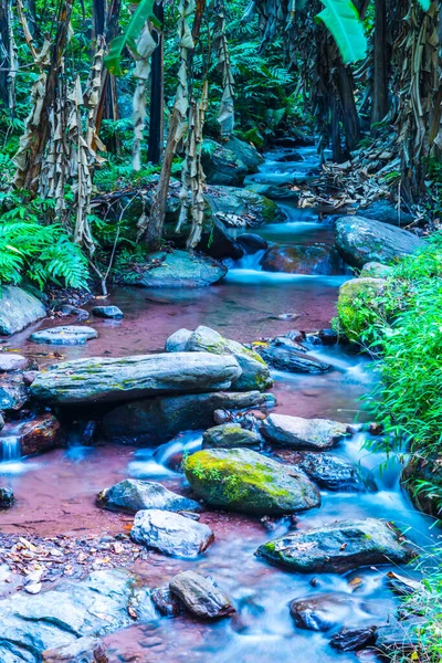 Champa Tanga Şelalesi 'nde küçük bir dere, Tayland.