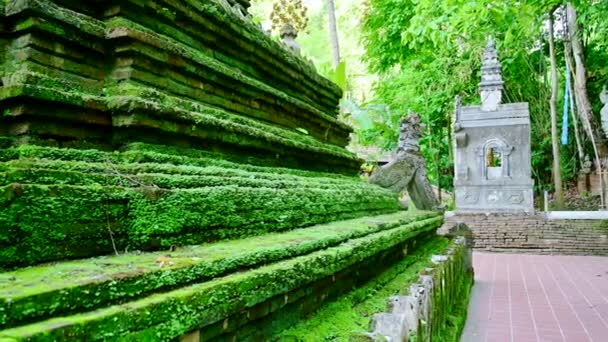 Древняя Пагода Покрытая Мохом Ват Пха Лат Провинции Чиангмай Таиланд — стоковое видео