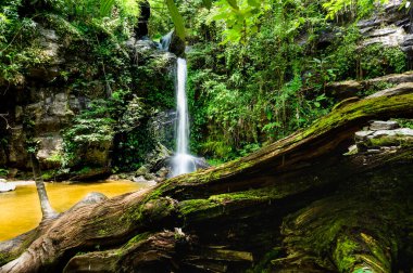 Chiang Mai Eyaleti, Tayland 'daki Monthatharn Şelalesi.