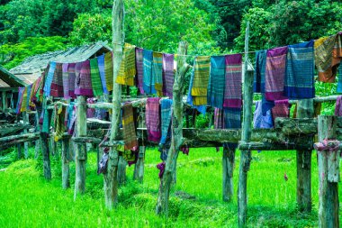 Tayland 'ın Pua bölgesinde küçük köprüsü olan pirinç tarlası..