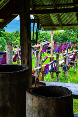 Tayland 'ın Pua bölgesinde küçük köprüsü olan pirinç tarlası..