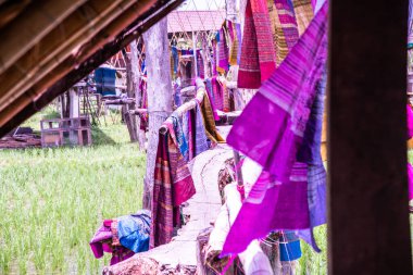 Tayland 'ın Pua bölgesinde pirinç tarlası olan küçük bir köprü..