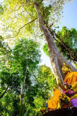 Lampang 'daki Tham Phatai Ulusal Parkı' nda ormanlı Buda heykeli..