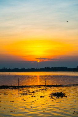 Sabah Kwan Phayao Gölü, Tayland.
