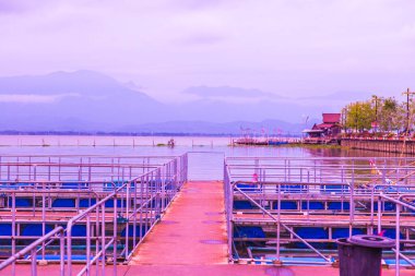 Tayland, Kwan Phayao Gölü 'ndeki balık kafesi..