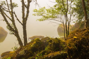 Tayland 'da sisli göl manzarası.