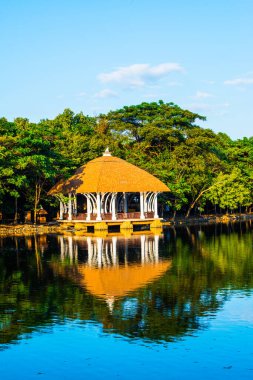 Chiang Mai 'deki Güzel Bina Gece Safarisi, Tayland.
