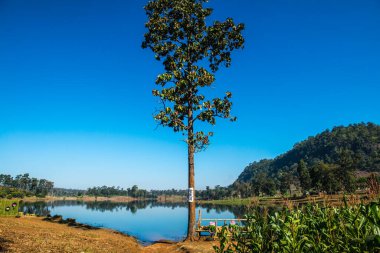 Tayland 'ın Chiangmai eyaletinde göl manzarası.