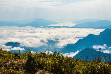 Chiangrai Eyaleti, Tayland 'daki Phu Chi Fa Manzara Noktasında Sis Denizi.