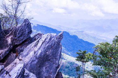 Chiangrai, Tayland 'da Doi Pha Tang' da Manzara Noktası.