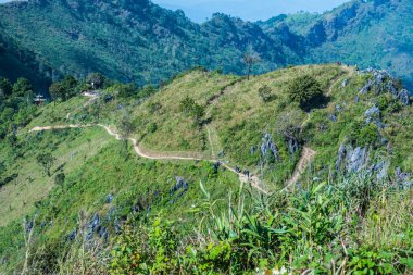 Tayland 'ın Chiangrai eyaletindeki Doi Pha Tang' da Dağ Manzarası.