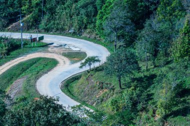 Chiangrai, Tayland 'da Doi Pha Tang yolu..