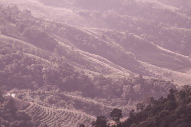 Tayland 'ın Chiangrai eyaletindeki Doi Pha Tang' da Dağ Manzarası.