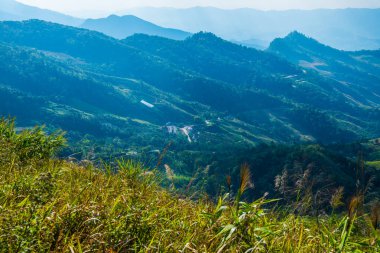 Tayland 'ın Chiangrai eyaletindeki Doi Pha Tang' da Dağ Manzarası.