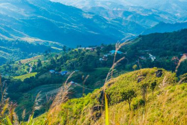 Tayland 'ın Chiangrai eyaletindeki Doi Pha Tang' da Dağ Manzarası.