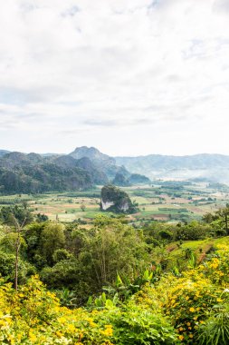 Phu Langka Ulusal Parkı, Tayland Güzel Dağ Manzarası.