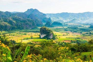Phu Langka Ulusal Parkı, Tayland Güzel Dağ Manzarası.