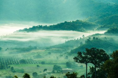 Phu Langka Ulusal Parkı, Tayland Güzel Dağ Manzarası.