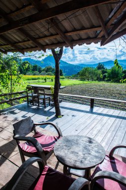 Tayland 'ın Chiangmai şehrinde Tayland tarzı teras..