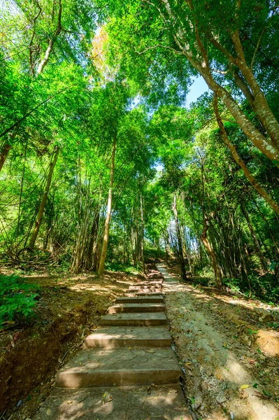 Concrete Stair Trail National Park Lampang Province — Stock fotografie
