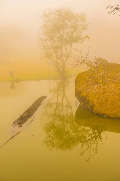 Lake View Fog Thai Thailand — Stock Photo, Image