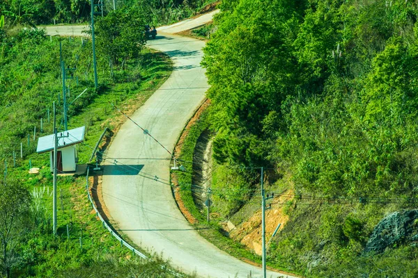 Chiangrai, Tayland 'da Doi Pha Tang yolu..