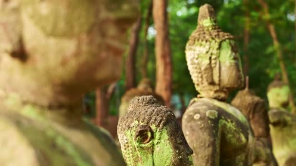 Старые Древние Статуи Будды Храмах Провинции Чиангмай — стоковое видео
