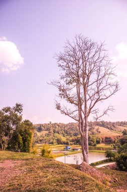 Tayland, Tayland kırsal manzarası.