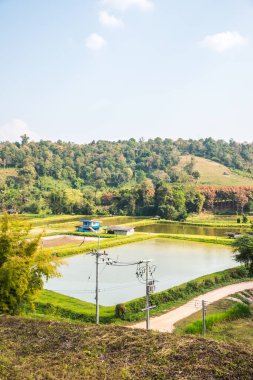 Tayland, Tayland kırsal manzarası.