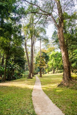 Tayland 'daki milli parkın manzarası.