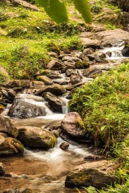Champa Tanga Şelalesi 'nde küçük bir dere, Tayland.