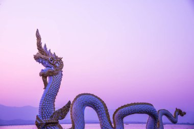 Beyaz Naga heykeli Kwan Phayao 'da akşam güneşli, Tayland.