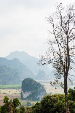 Phu Langka Ulusal Parkı, Tayland Güzel Manzarası.