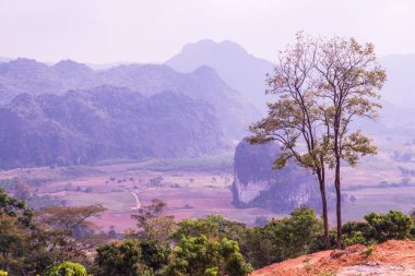Phu Langka Ulusal Parkı, Tayland Güzel Manzarası.