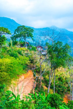 Tayland Phulangka Ulusal Parkı 'nda Dağ Manzaralı Küçük Ev.