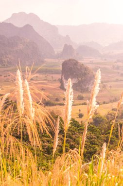 Phu Langka Ulusal Parkı, Tayland Güzel Manzarası.