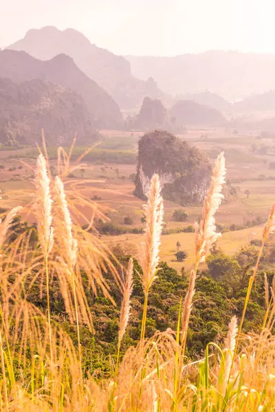 Phu Langka Ulusal Parkı, Tayland Güzel Manzarası.