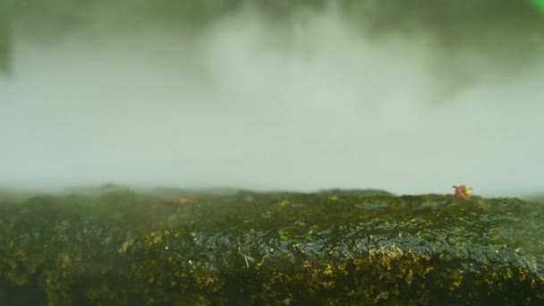 清迈水面上覆盖着苔藓和冷蒸气的岩石 — 图库视频影像
