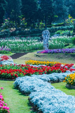 Tayland 'da güzel bir park..
