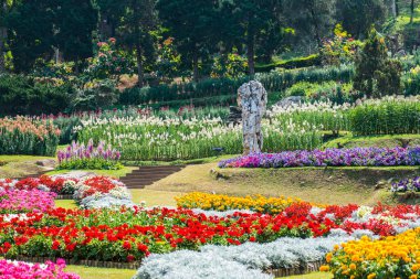 Tayland 'da güzel bir park..