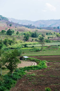 Chiang Rai Eyaleti, Tayland Doğal Manzarası.