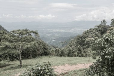 Tayland 'ın Chiangmai bölgesindeki dağ manzarası..