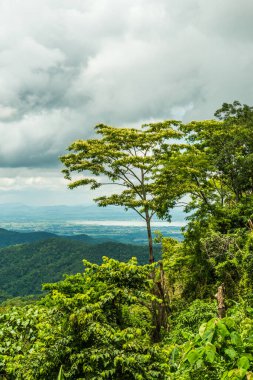 Kwan Phayao Gölü, Tayland.