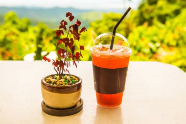 Masada buzlu limon çayı olan küçük bir bitki, Tayland.
