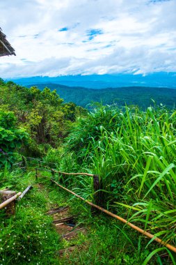 Mon Jam 'in Tayland' daki dağ manzarası.