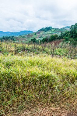 Mon Jam 'in Tayland' daki dağ manzarası.