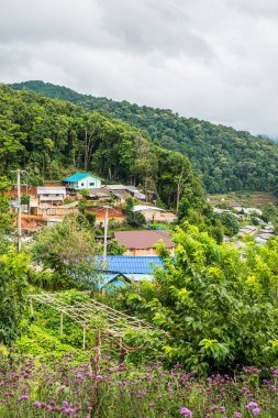 Mon Cham, Tayland 'daki dağdaki köy..