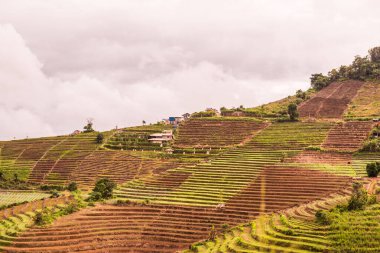 Mon Jam 'in Tayland' daki dağ manzarası.