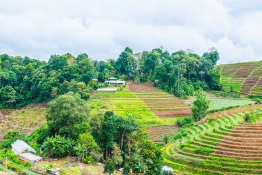 Mon Jam 'in Tayland' daki dağ manzarası.